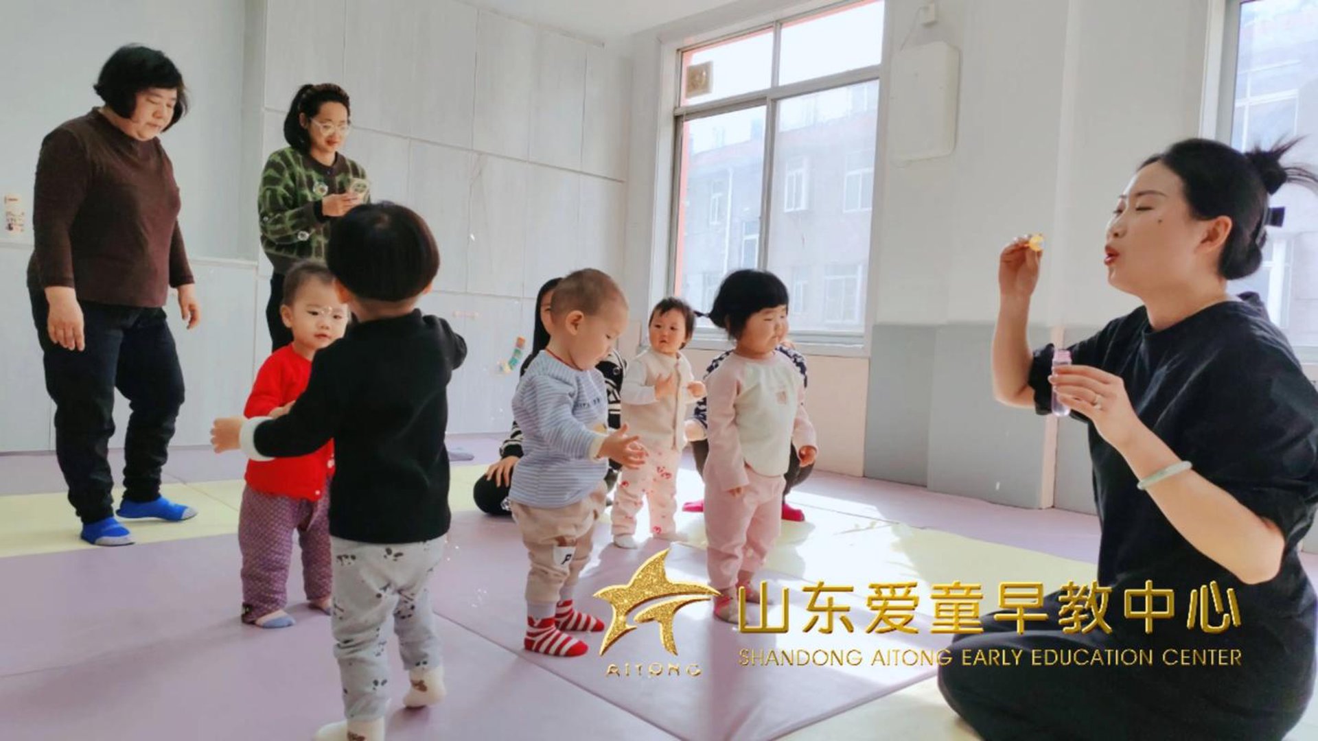 宝童早教网